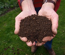 Abfalltipp: Kompostieren ist kein Knochenjob 
