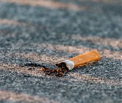 Abfalltipp: Weggeworfene Zigaretten und das Grundwasser 