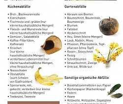 Abfalltipp: Richtige Befüllung der Biotonne  